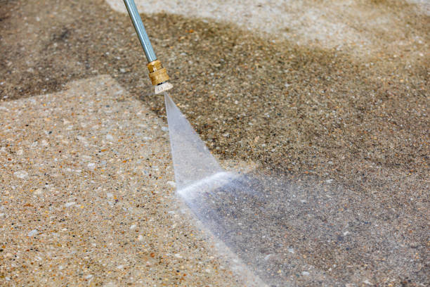 Best Animal Enclosure Cleaning  in East Rockaway, NY