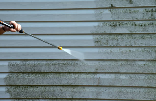 Best Patio and Deck Pressure Washing  in East Rockaway, NY